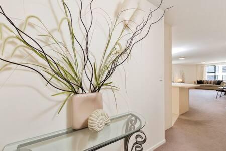 Oceanside Apartment Mount Maunganui Buitenkant foto